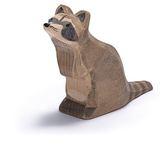 Ostheimer | Raccoon - Sitting