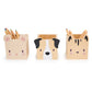 Tender Leaf | Pet Pencil Holders