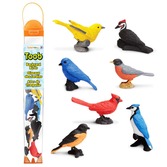 TOOBS | Backyard Birds