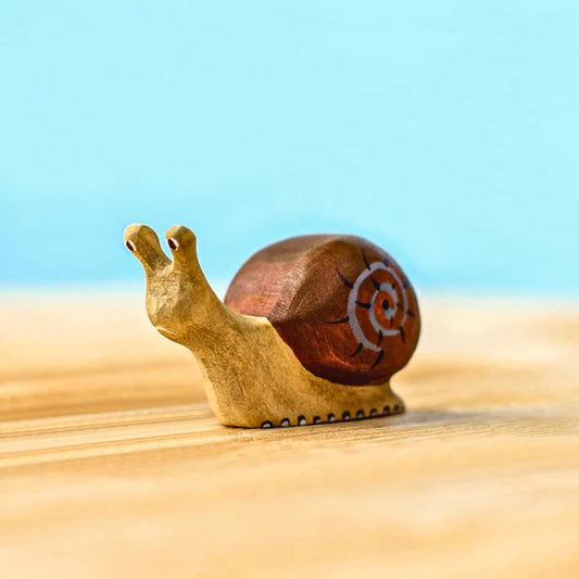 Bumbu | Snail