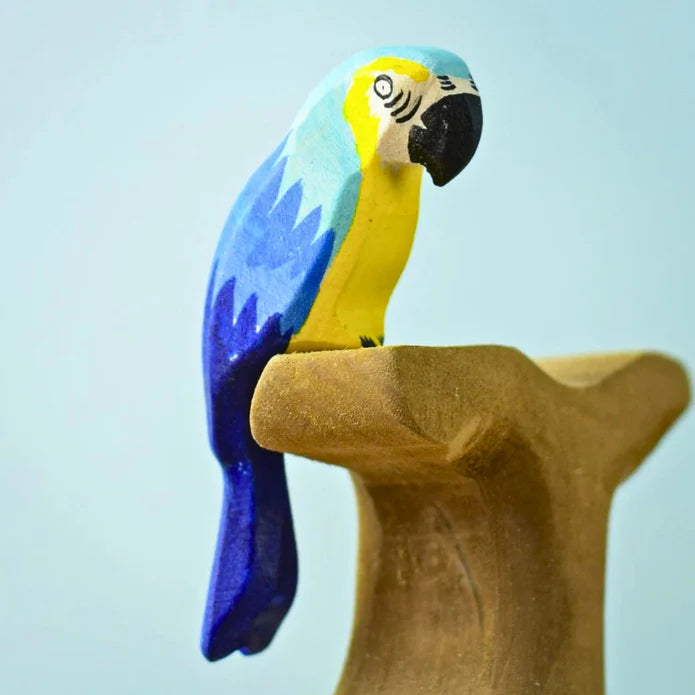 Bumbu | Blue Macaw Parrot