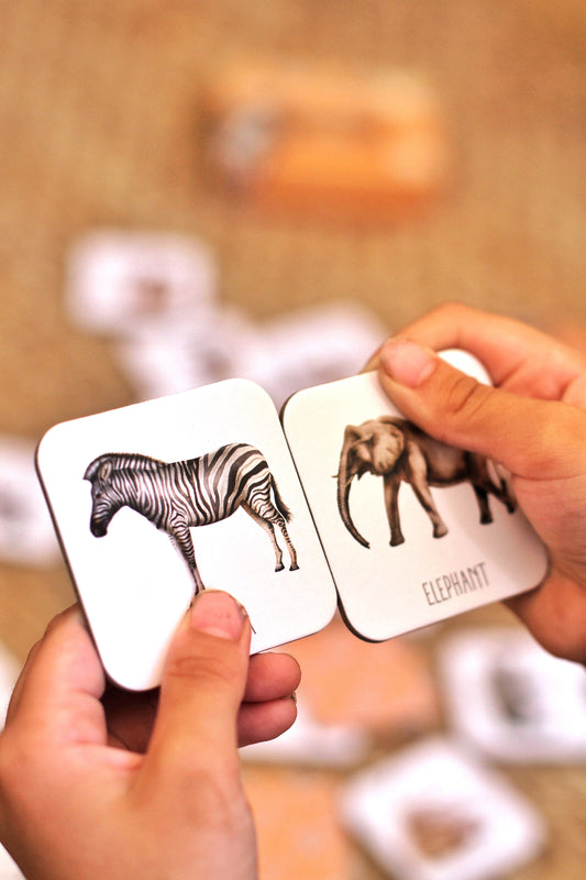 Modern Monty | Africa Memory Card Game