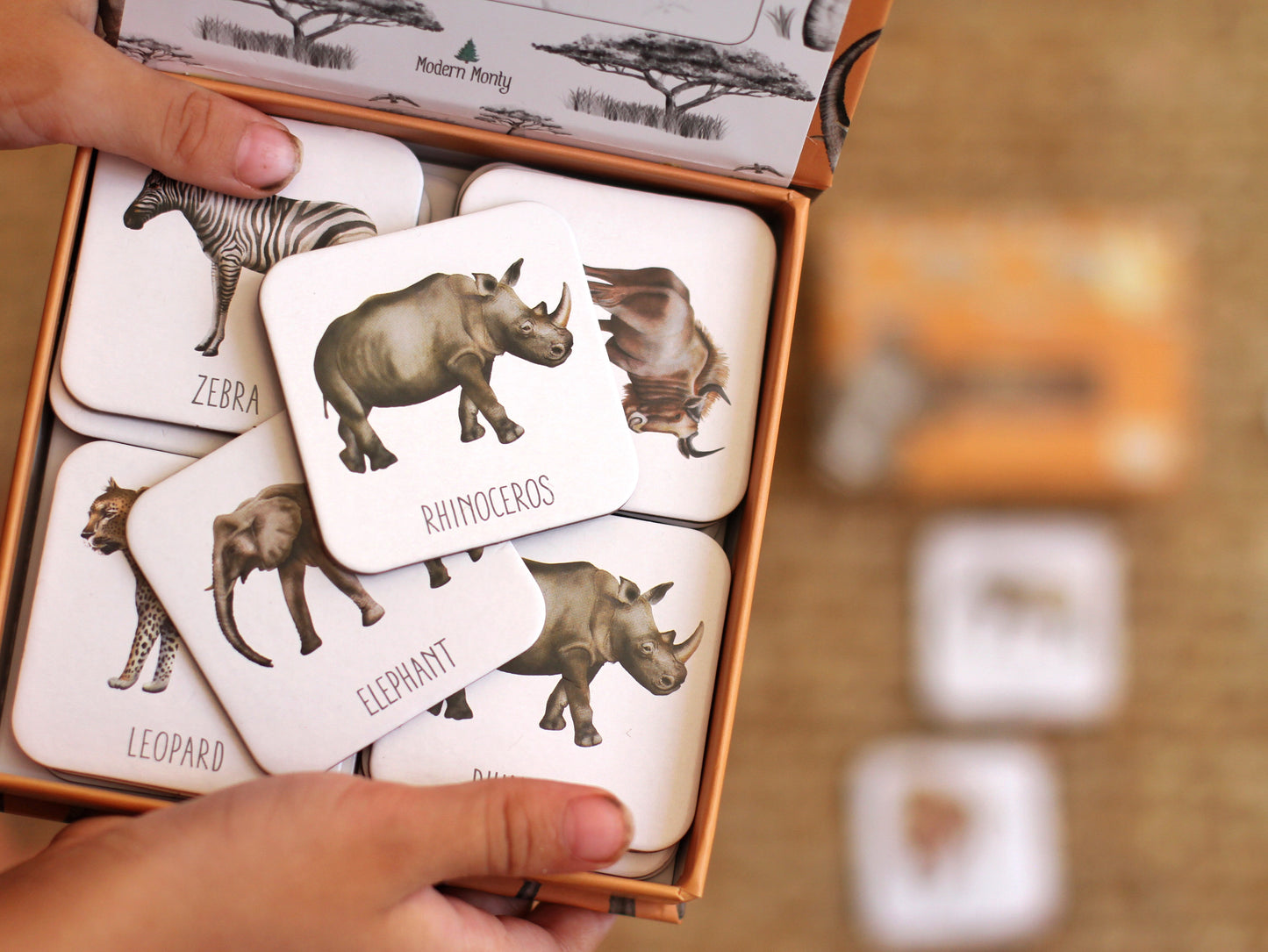 Modern Monty | Africa Memory Card Game