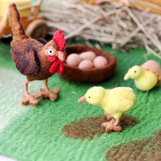 Tara Treasures | Life Cycle of a Chicken